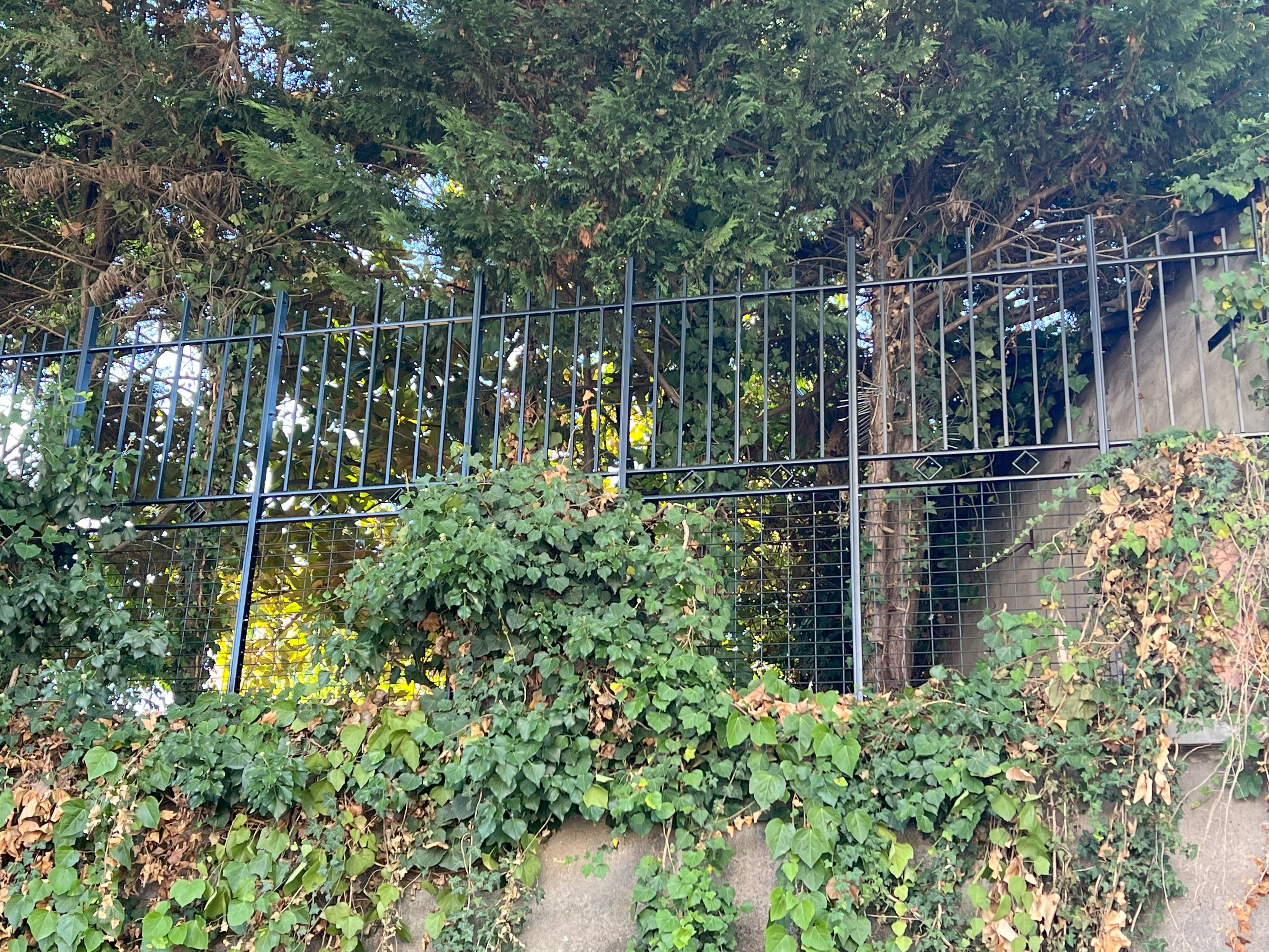 Fabrication et pose d'une clôture barreaudée en fer forgé. la clôture est posée en surplomb du cours Emile Zola à Villeurbanne. Elle a une hauteur de 2 mètres et elle est constituée de 13 sections d'un mètre de long. La partie haute est barreaudée verticalement en fer plat de sections rectangulaire et carré. La partie basse est remplie en grillage de maille 100x50. la séparation entre les deux est marqué par des carrés façonnés type art déco. Elle vient en remplacement d'un garde corps type art déco d'un mètre de haut. Un élément sur trois est constitué uniquement de la partie supérieure afin d'enjamber d'énormes pots ou pousse du lierre. La végétalisation à été préservée au maximum. L'ensemble est peint en ral 9005 noir. Clôture barreaudée métallique réalisée et installée par l'entreprise Claude Jeandin métallerie.